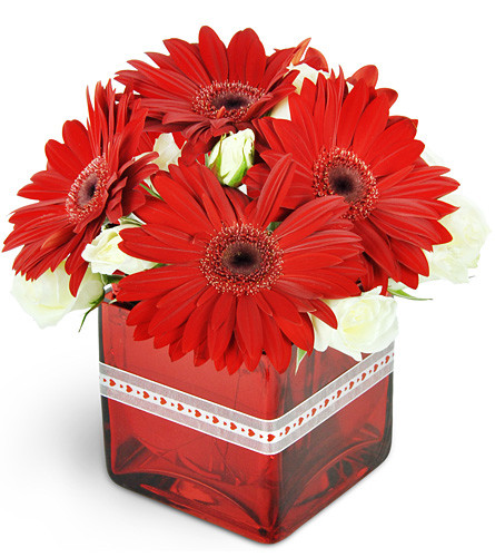 Just for You. An arrangement by Avenue Flowers and Gifts. Treat your special someone to Gerbera daisies and spray roses beautifully arranged in a...