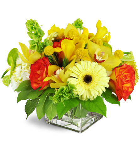 Citron Surprise™. An arrangement by Avenue Flowers and Gifts. Cymbidium orchids, roses, Gerbera daisies, and so much more are arranged in a...