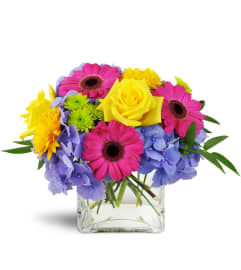 Blooming Medley™. An arrangement by Avenue Flowers and Gifts.