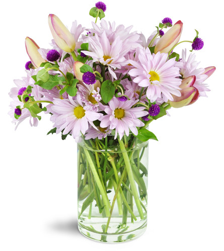 Lively Lavender™. An arrangement by Avenue Flowers and Gifts. Lavender daisies, mauve tulips, and more are arranged in an elegant cylinder vase..