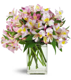 Lively Lilies™. An arrangement by Avenue Flowers and Gifts.