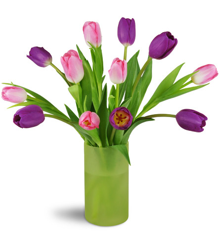 Royal Spring Tulip Bouquet™. An arrangement by Avenue Flowers and Gifts. Six lush purple and pink tulips are arranged in a glass vase..