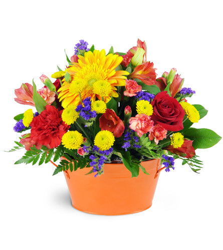Vibrant Garden. An arrangement by Avenue Flowers and Gifts. Gerbera daisies, roses, alstroemeria, miniature carnations, and more overflow from a...