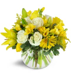 Lucky Stars™. An arrangement by Avenue Flowers and Gifts.