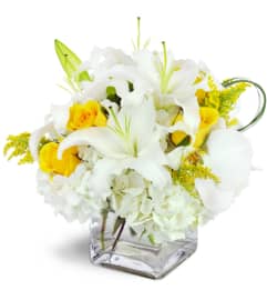 Glowing Elegance™. An arrangement by Avenue Flowers and Gifts.