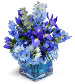 Paint the Sky™. An arrangement by Avenue Flowers and Gifts.