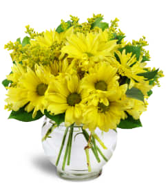 Daisy Dreams™. An arrangement by Avenue Flowers and Gifts.
