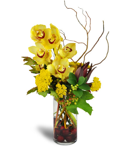 Orchid Symphony™. An arrangement by Avenue Flowers and Gifts. A half-stem of yellow Cymbidium orchids is arranged with curly willow tendrils and...