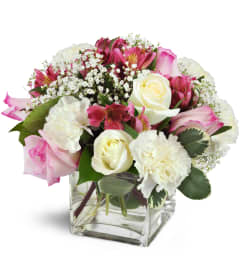Blushing Blessings Cube™. An arrangement by Avenue Flowers and Gifts.
