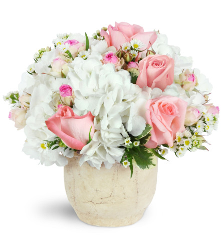Graceful Embrace - Deluxe. An arrangement by Avenue Flowers and Gifts. Bursting with white hydrangea, light pink roses, and spray roses, this...