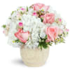 Graceful Embrace - Deluxe. An arrangement by Avenue Flowers and Gifts. Bursting with white hydrangea, light pink roses, and spray roses, this...