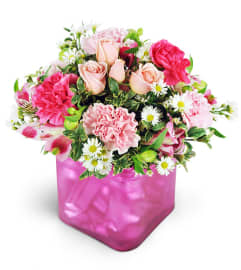 Sweet Sentiments. An arrangement by Avenue Flowers and Gifts.