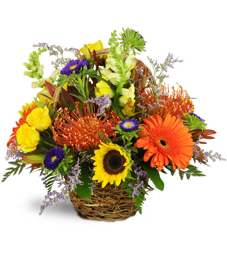 Autumn Joy Basket™. An arrangement by Avenue Flowers and Gifts. Orange Gerbera daisies, yellow sunflowers, and pincushion protea are accented with...