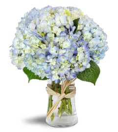 Cloud Nine™. An arrangement by Avenue Flowers and Gifts.