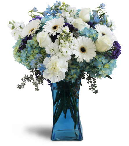 Blooming Blues™. An arrangement by Avenue Flowers and Gifts. Hydrangeas, Gerbera daisies, roses, and stock are arranged in a glass vase..