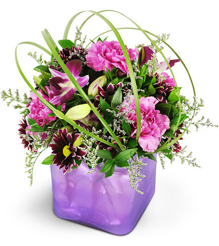 Crazy in Love. An arrangement by Avenue Flowers and Gifts. Dendrobium orchids, carnations, daisies, and more are topped with a modern twist of...