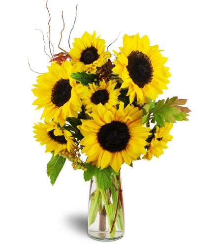 Autumn Blooms Bouquet™. An arrangement by Avenue Flowers and Gifts. Classic sunflowers take center stage while woody curly willow and maple vine...