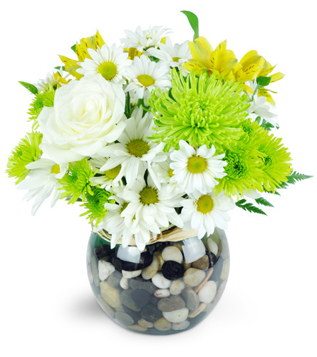 Summertime Stroll™. An arrangement by Avenue Flowers and Gifts. Creams, whites, yellows, and greens are beautifully arranged in a bubble bowl...