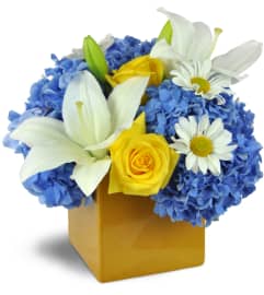 Summer Celebration Cube™. An arrangement by Avenue Flowers and Gifts.