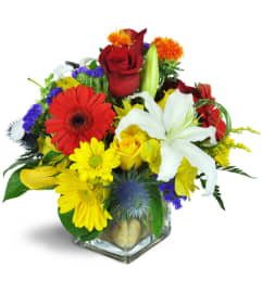 We're Walking on Sunshine. An arrangement by Avenue Flowers and Gifts.