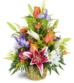 Stargazer Blessings Basket™. An arrangement by Avenue Flowers and Gifts.