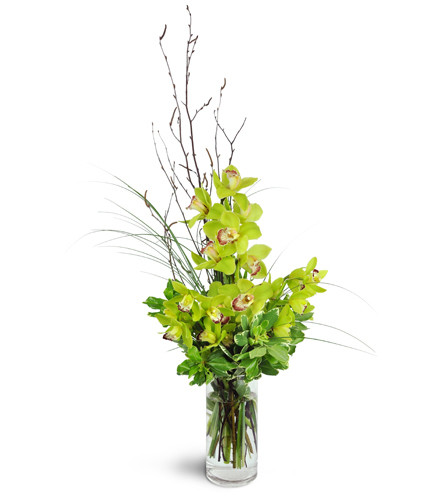 Orchid Visions Bouquet™. An arrangement by Avenue Flowers and Gifts. Green Cymbidium orchids and delicate birch twigs are arranged in a tall glass...
