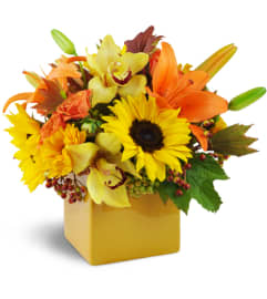 Sunshine Surprise™. An arrangement by Avenue Flowers and Gifts.