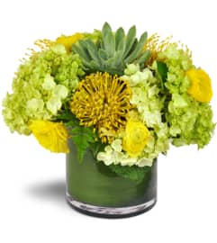 Succulent Sunray Bouquet™. An arrangement by Avenue Flowers and Gifts.