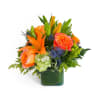 October Evening™ - Deluxe. An arrangement by Avenue Flowers and Gifts.