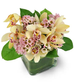 Delicate Delight. An arrangement by Avenue Flowers and Gifts.