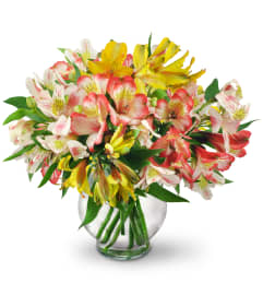 Perfect Peruvian Lilies. An arrangement by Avenue Flowers and Gifts.