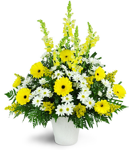 Shining Light Tribute. An arrangement by Avenue Flowers and Gifts. Gerbera daisies, snapdragons, solidago, white daisies, and white mini...