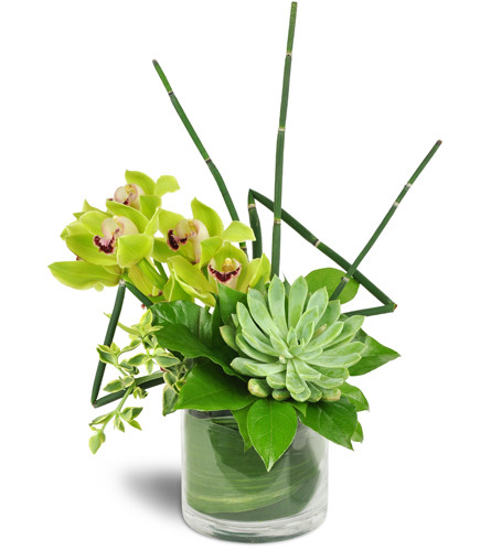 Stately Succulent Bouquet™. An arrangement by Avenue Flowers and Gifts. A bevy of green Cymbidium orchids complement a beautiful succulent in a...