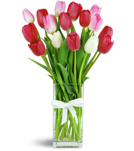 So Sweet™ - Deluxe. An arrangement by Avenue Flowers and Gifts. Red, pink, and white tulips are cheerfully arranged in a glass vase..