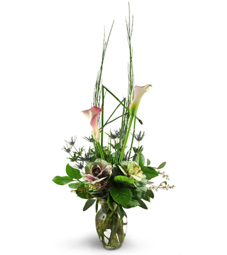Soaring Thoughts. An arrangement by Avenue Flowers and Gifts. Calla lilies and colorful kale are artfully arranged with eryngium, seeded...