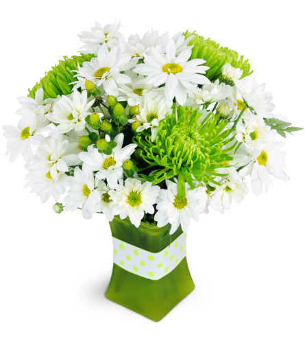 Sublime Lime™. An arrangement by Avenue Flowers and Gifts. Green fuji mums and fresh white daisies are cheerfully arranged in a unique green vase..
