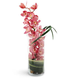 Peaceful Pink Orchids. An arrangement by Avenue Flowers and Gifts.