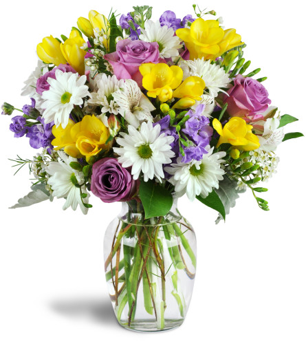 Sunshower Bouquet™ - Deluxe. An arrangement by Avenue Flowers and Gifts. Lavender roses, cheerful white daisies, and fragrant yellow freesia are...