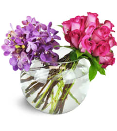 Captivating Duet™. An arrangement by Avenue Flowers and Gifts.