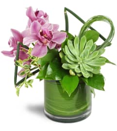 Pink Splendor Vase™. An arrangement by Avenue Flowers and Gifts.