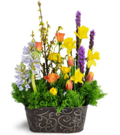 Gardener's Delight. An arrangement by Avenue Flowers and Gifts.