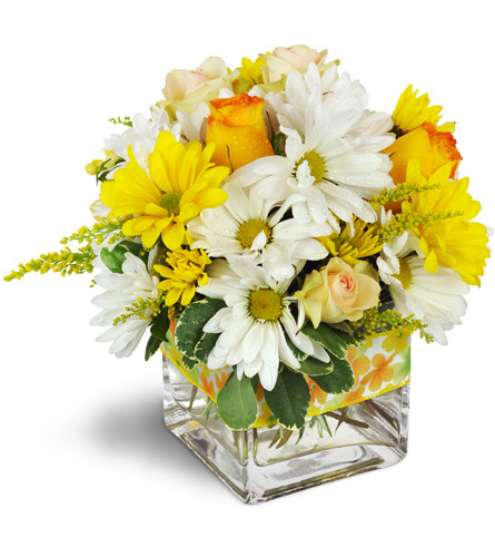 Sunshine Medley™. An arrangement by Avenue Flowers and Gifts. Yellow and white daisies are beautifully accented with light pink spray roses and...