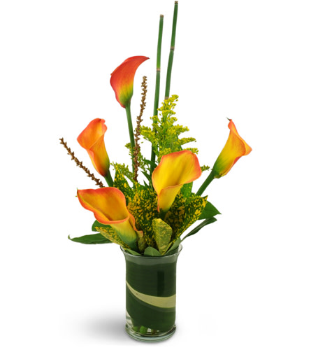 Savannah Sunset™. An arrangement by Avenue Flowers and Gifts. Treat them to miniature calla lilies, tropical greens, solidago, horsetail, and more..