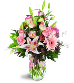 Daisy Day Blush™. An arrangement by Avenue Flowers and Gifts.
