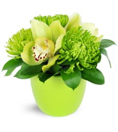It's Easy Being Green!. An arrangement by Avenue Flowers and Gifts.