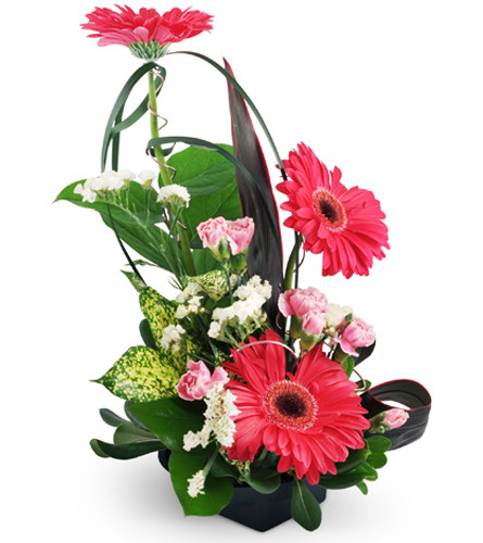 To The Top!™. An arrangement by Avenue Flowers and Gifts. Gerbera daisies, mini carnations, and statice are exotically arranged with tropical...