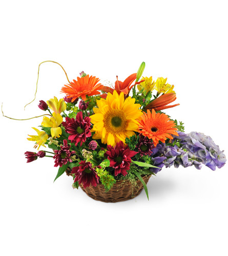 Basket of Wishes. An arrangement by Avenue Flowers and Gifts. Surprise them with Gerbera daisies, sunflowers, and Asiatic lilies expertly arranged...