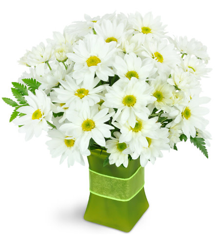 Garden Fresh. An arrangement by Avenue Flowers and Gifts. White daisies are perfectly completed with assorted greenery and a ribbon..