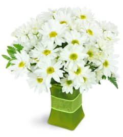 Garden Fresh. An arrangement by Avenue Flowers and Gifts.