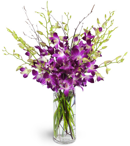You're My Everything. An arrangement by Avenue Flowers and Gifts. A dozen stems of purple dendrobium orchids are perfectly accented with birch twigs..